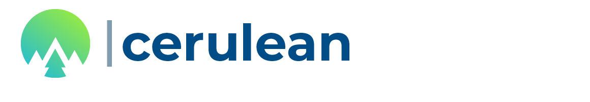 Cerulean Strategic Group
